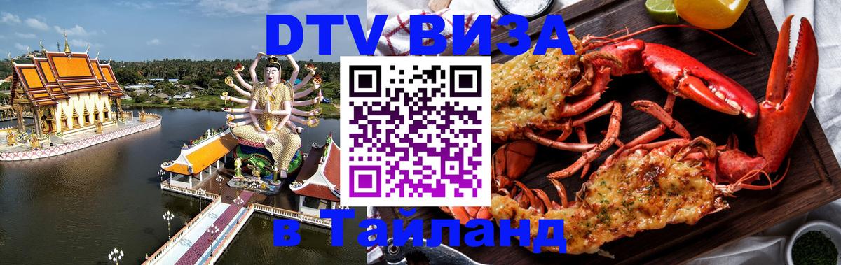 Оформление DTV визы под ключ: стоимость и тарифы, только загранпаспорт - Бердск  20.11.2025 